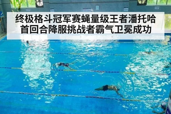 终极格斗冠军赛蝇量级王者潘托哈首回合降服挑战者霸气卫冕成功